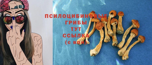 прущие грибы Касимов