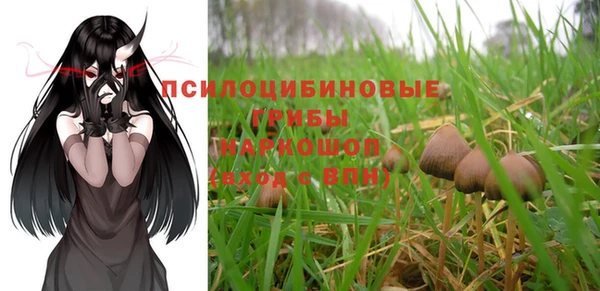 синтетический гашиш Белокуриха
