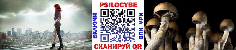 Галлюциногенные грибы GOLDEN TEACHER  даркнет сайт  Дальнегорск 