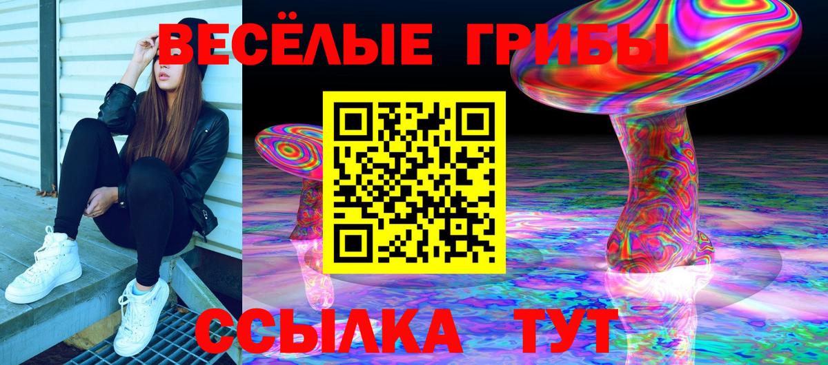 Галлюциногенные грибы мухоморы  Псилоцибиновые грибы прущие грибы  Вход с VPN  Дальнегорск 