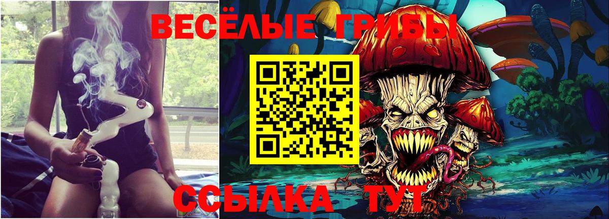 Псилоцибиновые грибы мухоморы Дальнегорск